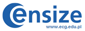 Ensize Consulting Group
